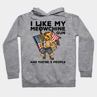 Pro 2nd Amendment Funny Cat Pun Machine Gun Rights Cats Gift Hoodie